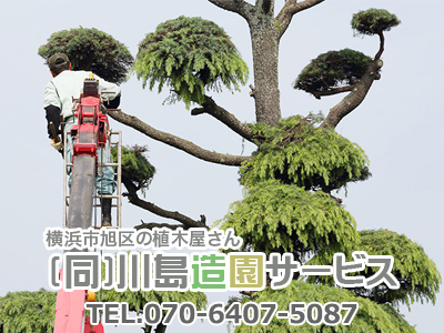 合同会社 川島造園サービス 神奈川県 旭区で生前遺品整理 不用品買取 回収は弊社にご相談ください 空き家買取なら 損をしないシリーズ 空き家対策フル活用ドットコム