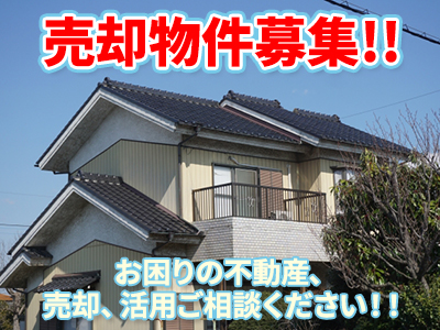 キューブコンセプト株式会社