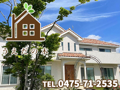 株式会社うえだの木