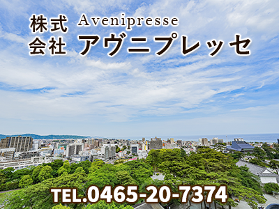 株式会社アヴニプレッセ